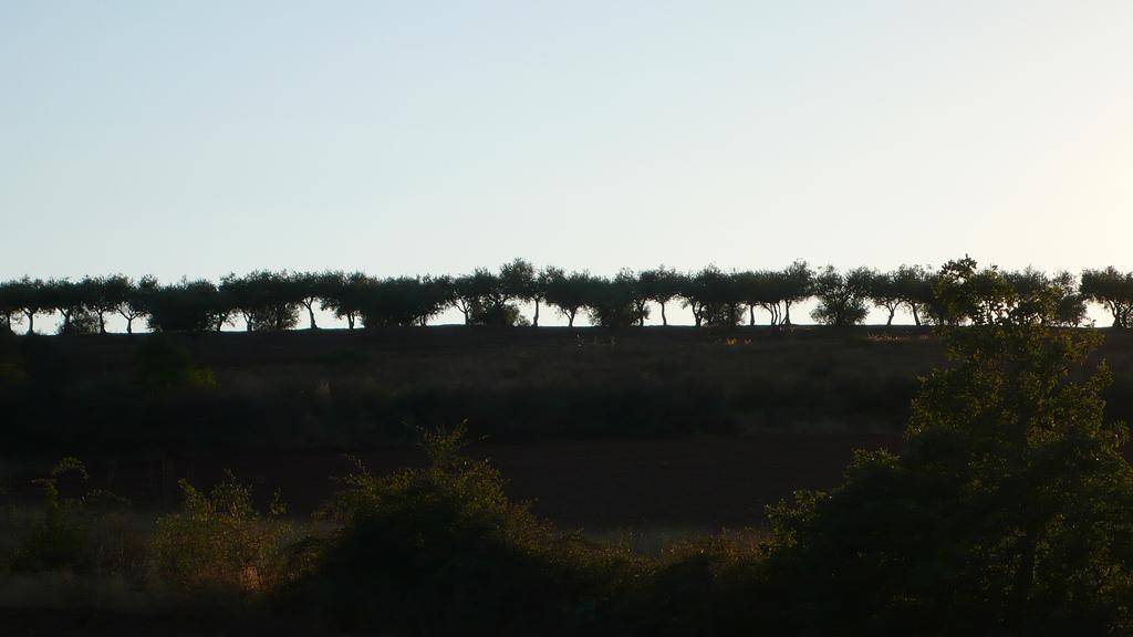 Casa Da Ti Cura ξενώνας Atenor Εξωτερικό φωτογραφία