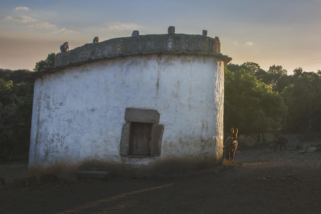 Casa Da Ti Cura ξενώνας Atenor Εξωτερικό φωτογραφία