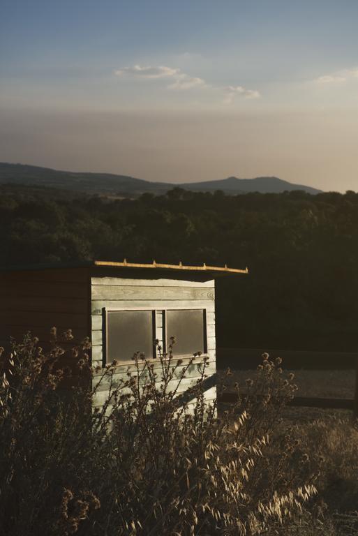Casa Da Ti Cura ξενώνας Atenor Εξωτερικό φωτογραφία